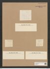 Diatomeae indet. Zeichnungen Sammlung Grunow Nr. 6431 (NHMW-BOT-W0375115)